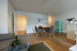 Nice and fully equipped studio (Neckartenzlingen)