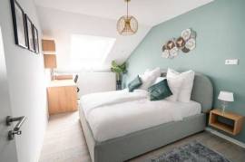 Deluxe Suite - Living & Work Place