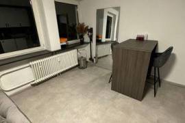 Apartment (Ludwigshafen am Rhein)