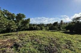 Excellent Plot of land for sale in Las Galeras, Samana Dominican