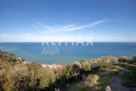 Agricultural 7412 sq.m for sale