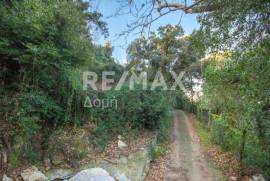 Agricultural 7412 sq.m for sale