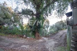 Agricultural 7412 sq.m for sale