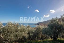 Agricultural 7412 sq.m for sale