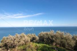 Agricultural 7412 sq.m for sale