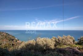 Agricultural 7412 sq.m for sale