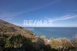 Agricultural 7412 sq.m for sale