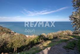 Agricultural 7412 sq.m for sale