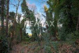 Agricultural 7412 sq.m for sale