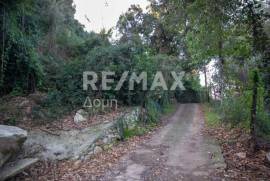 Agricultural 7412 sq.m for sale
