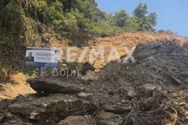 Agricultural 7412 sq.m for sale