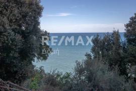 Agricultural 7412 sq.m for sale