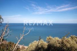 Agricultural 7412 sq.m for sale