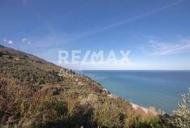 Agricultural 7412 sq.m for sale