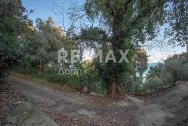 Agricultural 7412 sq.m for sale