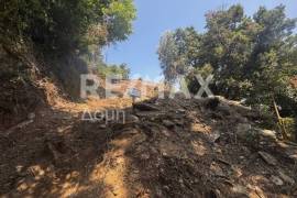 Agricultural 7412 sq.m for sale