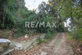 Agricultural 7412 sq.m for sale