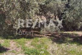 Agricultural 2159 sq.m for sale
