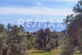 Agricultural 2159 sq.m for sale