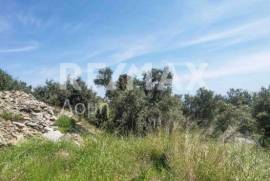 Agricultural 2159 sq.m for sale