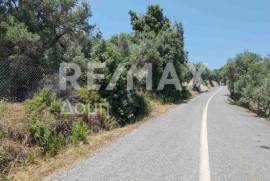 Agricultural 2159 sq.m for sale