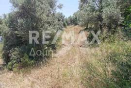 Agricultural 2159 sq.m for sale