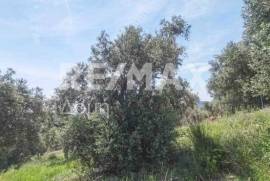Agricultural 2159 sq.m for sale