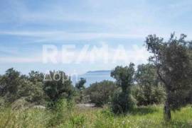 Agricultural 2159 sq.m for sale