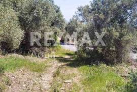 Agricultural 2159 sq.m for sale