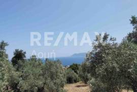 Agricultural 2159 sq.m for sale