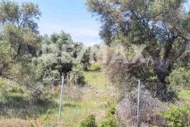 Agricultural 2159 sq.m for sale