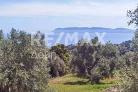 Agricultural 2159 sq.m for sale