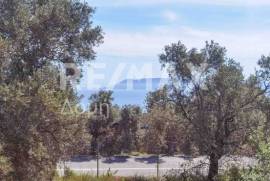 Agricultural 2159 sq.m for sale
