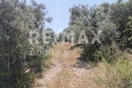 Agricultural 2159 sq.m for sale