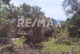 Agricultural 2159 sq.m for sale