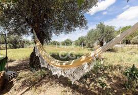 Farmhouse Elvas