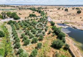 Farmhouse Elvas