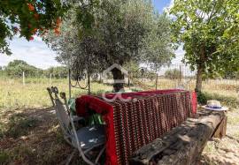 Farmhouse Elvas