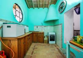 Charming 4-hectare farm for sale in idyllic Salto - São Bartolomeu de Messines