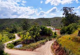 Charming 4-hectare farm for sale in idyllic Salto - São Bartolomeu de Messines