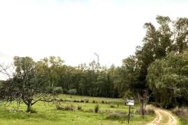 Rustic plot of 9,200m² with 2 wells and natural shade just 5 minutes from Mérida – Unique opportunity in the Venero Industrial Estate