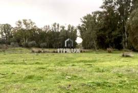 Rustic plot of 9,200m² with 2 wells and natural shade just 5 minutes from Mérida – Unique opportunity in the Venero Industrial Estate