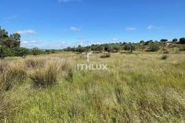 Rustic plot of 9,200m² with 2 wells and natural shade just 5 minutes from Mérida – Unique opportunity in the Venero Industrial Estate