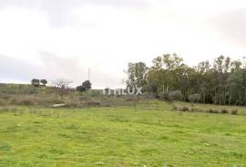 Rustic plot of 9,200m² with 2 wells and natural shade just 5 minutes from Mérida – Unique opportunity in the Venero Industrial Estate