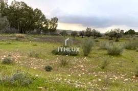 Rustic plot of 9,200m² with 2 wells and natural shade just 5 minutes from Mérida – Unique opportunity in the Venero Industrial Estate