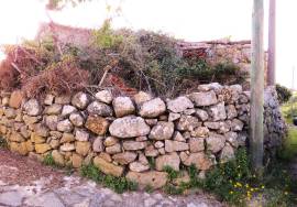 Ruin for recovery with well