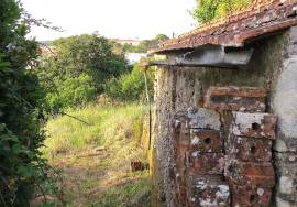 Ruin for recovery with well