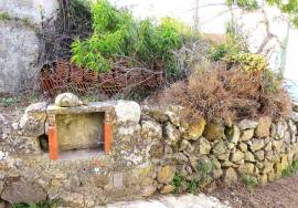 Ruin for recovery with well
