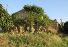 Ruin for recovery with well