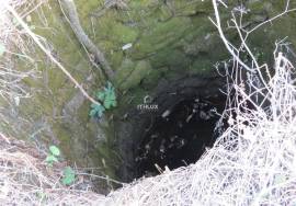Ruin for recovery with well
